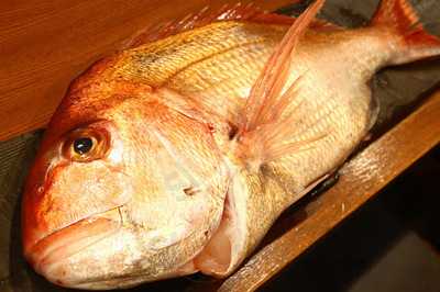 いざかや かつべー