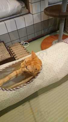 ネコリパブリック 大阪心斎橋店