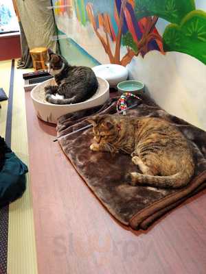 ネコリパブリック 大阪心斎橋店