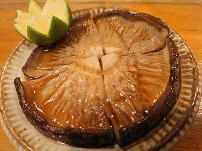 Okonomi－yaki＆bar Source