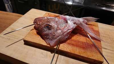 魚とお酒 ごとし