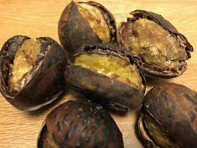 京丹波 錦市場本店