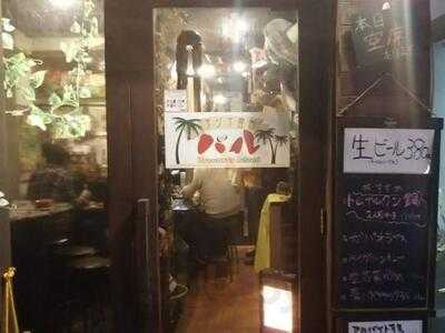 ココナッツ アイランド