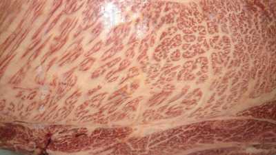 北陸産直市場 ビストロピット