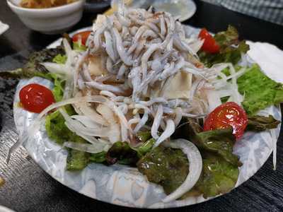 和歌山由良港 地魚産地直送 昭和丸