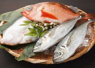 季節料理 田楽 おかじま