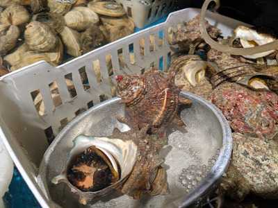 磯丸水産　なんば南海通り店