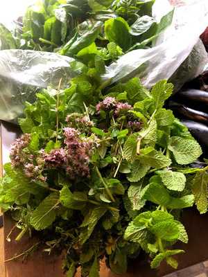 おばんざいバル マンマ