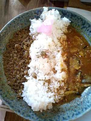 Gato Curry