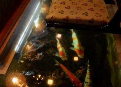 変りすし処 ふなおか