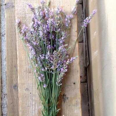 Cafe-cafe ばらんす食堂