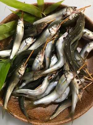 旬魚菜 やまざき