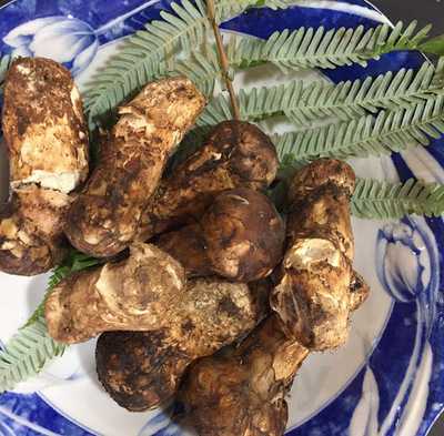 旬魚菜 やまざき