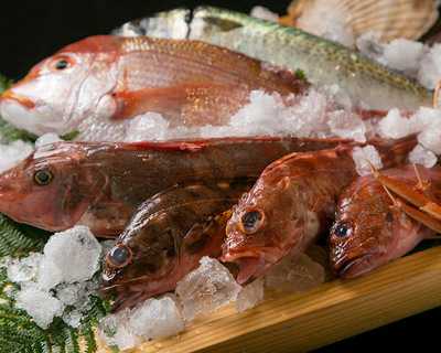 神戸うまいもん処 ご馳蔵 ラマダホテル大阪店