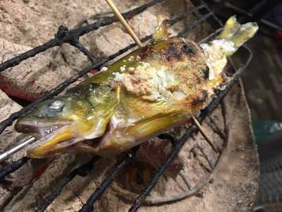 なにわ ぶちかまし 日本橋店