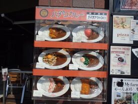 ハラペコカレー梅小路店