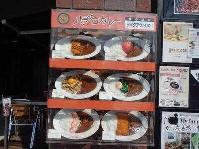 ハラペコカレー梅小路店