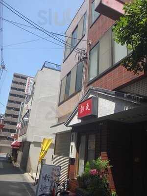 ニューナイト新夜