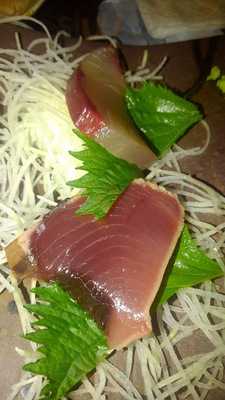 駅前酒場 小だるま総本家