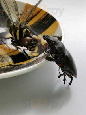 大阪難波 こなもん天国