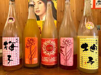 屋台居酒屋 北大路 帆助 北大路