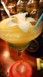 居酒屋ちょっとbar なごみ屋