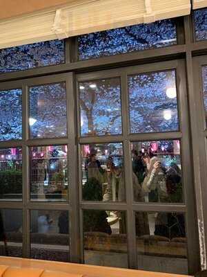 Green Bean To Bar Chocolate