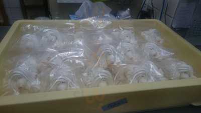 メーテルリンク