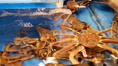 木曽路 港北ニュータウン店