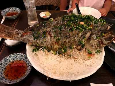 イエローバンブー