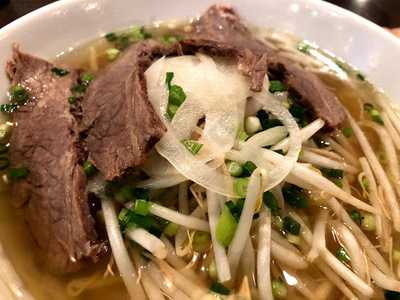 イエローバンブー