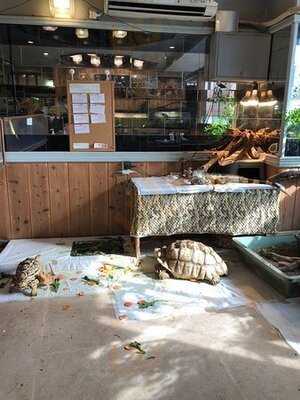 横浜亜熱帯茶館〜爬虫類cafe〜