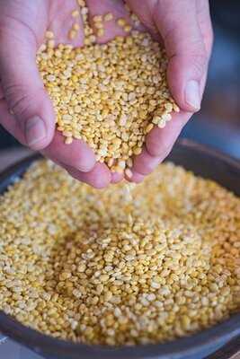 チリパーラー９