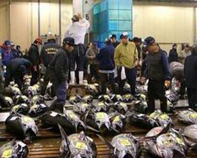 さかなや道場 横浜関内北口店