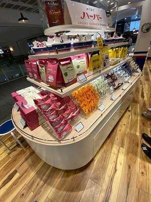 ありあけハーバースタジオ