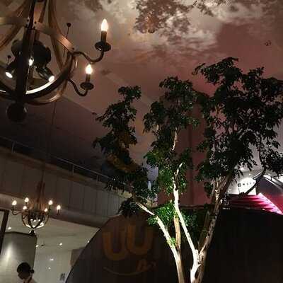 アンカーポイント