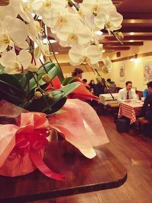 ウルトラミート