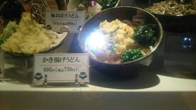 いろどり家 東戸塚オーロラモール店