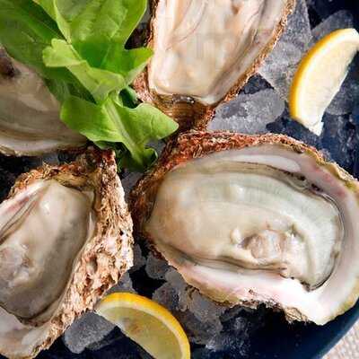 オサカナバル Il Mare 横浜西口駅前店