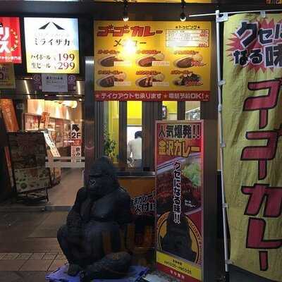 ゴーゴーカレー お茶の水駅前店