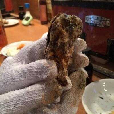 かき小屋 恵比寿