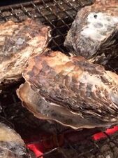 かき小屋 恵比寿