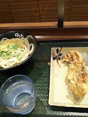 はなまるうどん 渋谷明治通り店