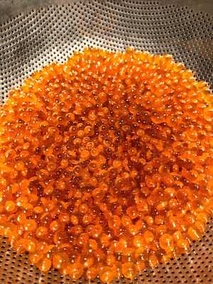 なかめのてっぺん 渋谷