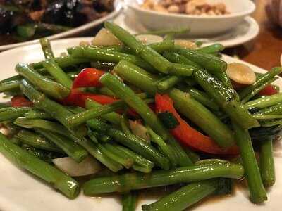 Asian Palm 渋谷本町店