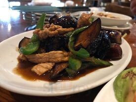 Asian Palm 渋谷本町店