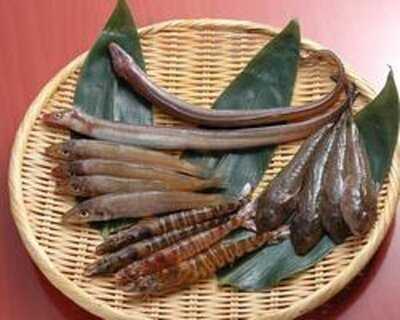 天ぷら 船橋屋 新丸ビル