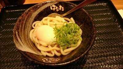 はなまるうどん 六本木六丁目店