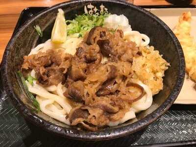 はなまるうどん 六本木六丁目店