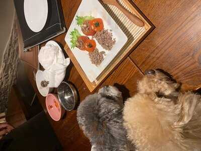 やさいや 鉄板焼野菜 六本木店